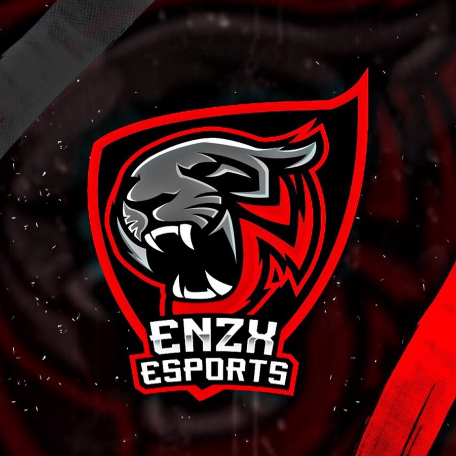 EnZx Team