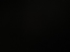 Black ops q