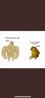 WePz sports