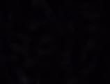 Invitation Banner