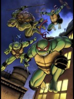 The ninja turtles