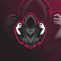 Five Hundred And Two Esports