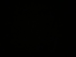 Invitation Banner