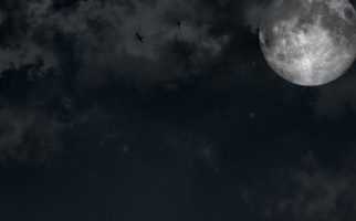 Invitation Banner