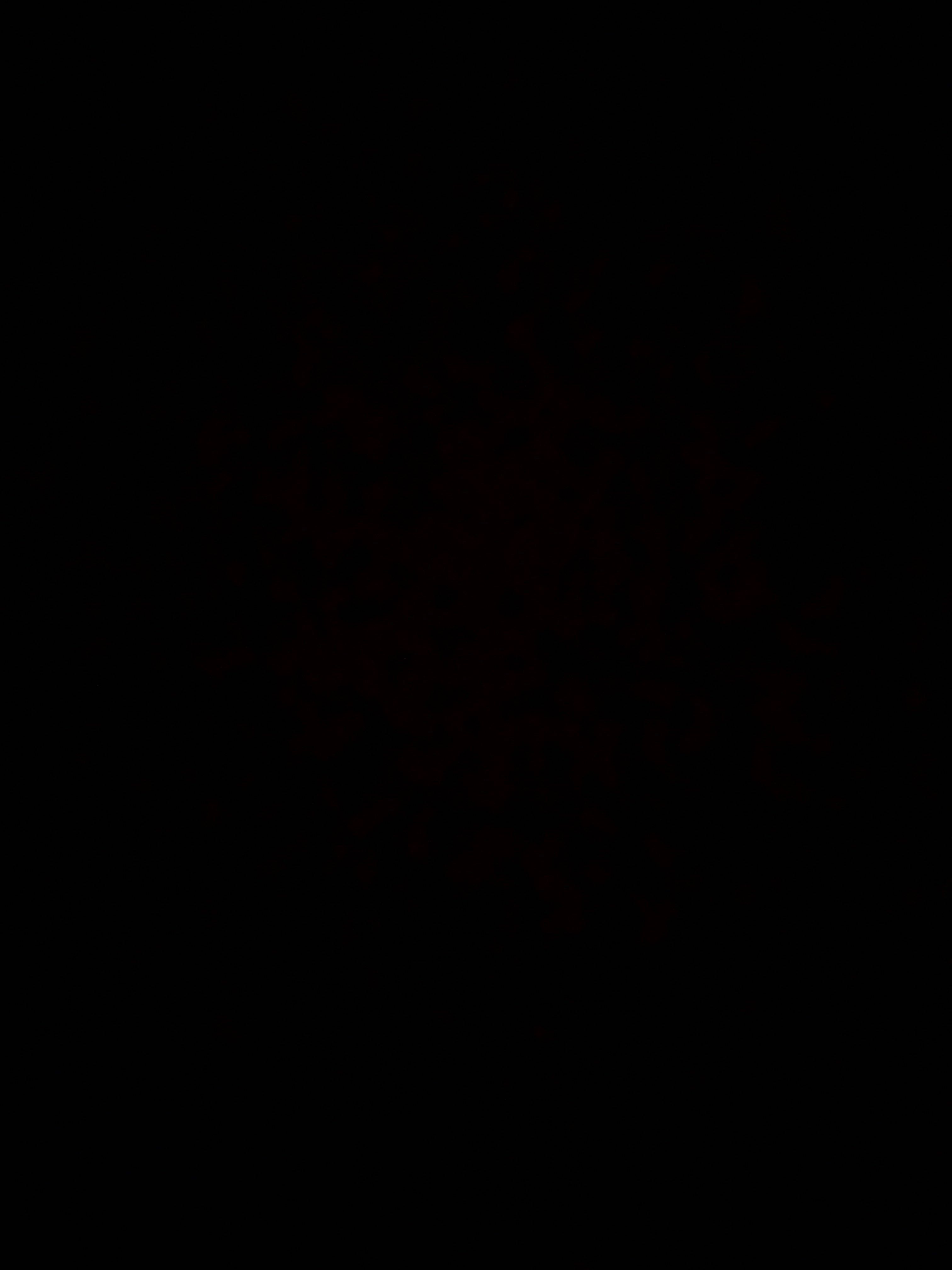 Invitation Banner