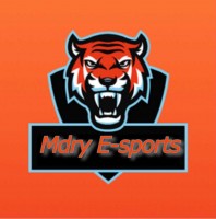 MdryESport
