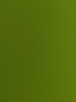 Invitation Banner