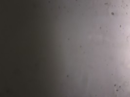 Invitation Banner