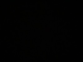 Invitation Banner