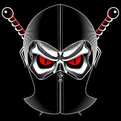 Ninja Team