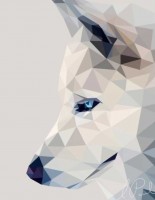 TheWhiteWolfs