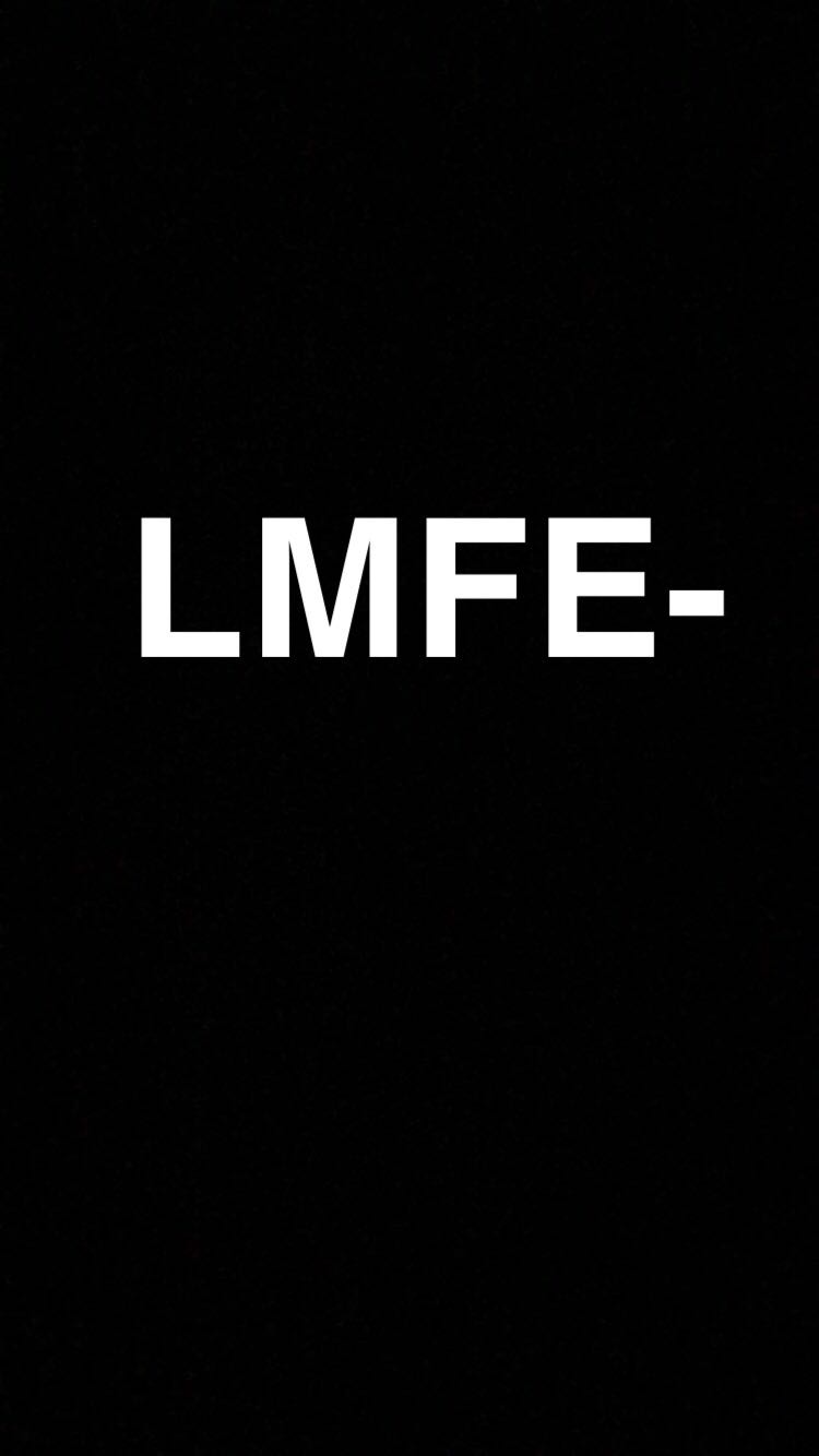 LMFESauditeam