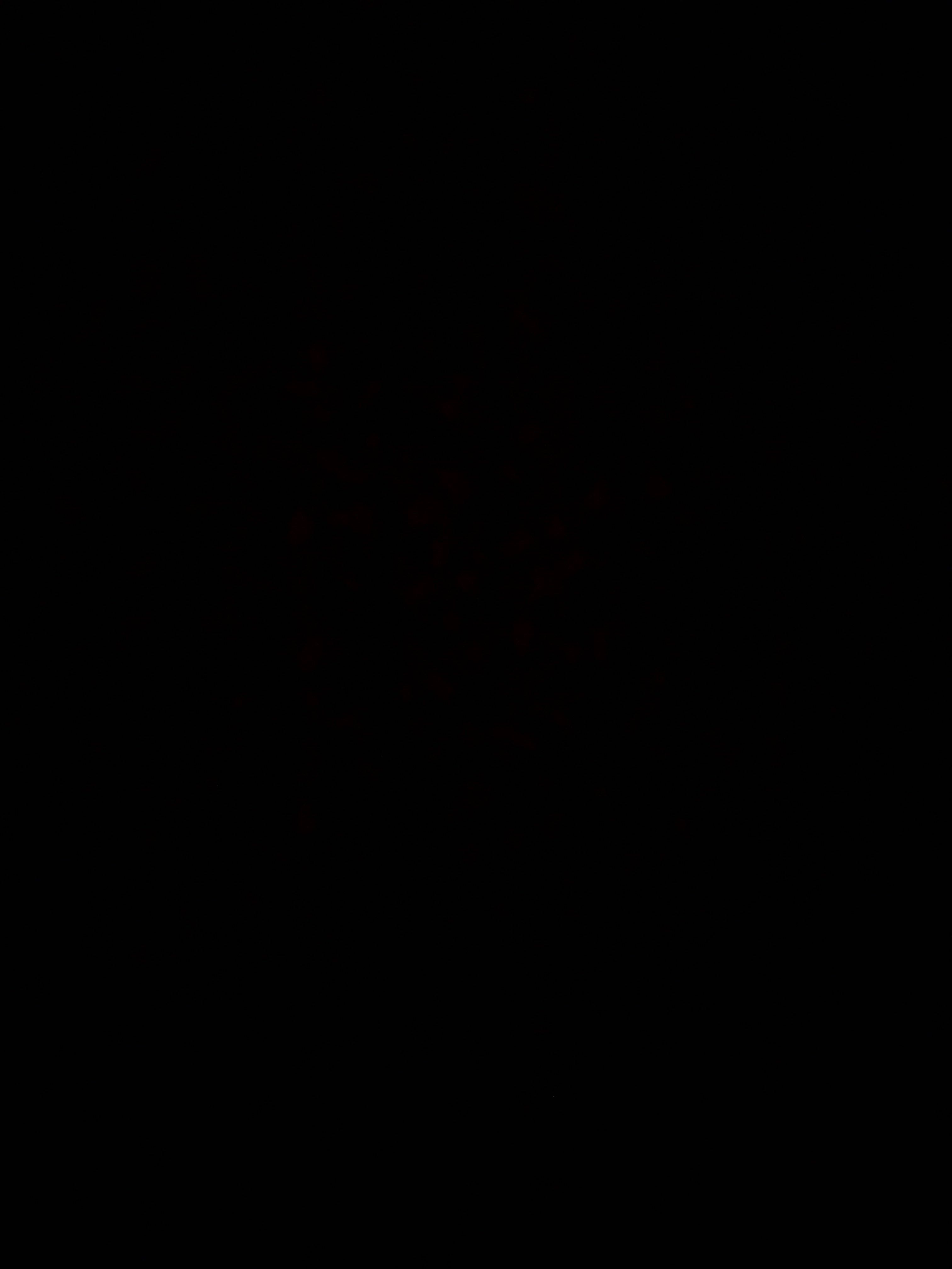 satisatisaaati