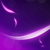 Invitation Banner