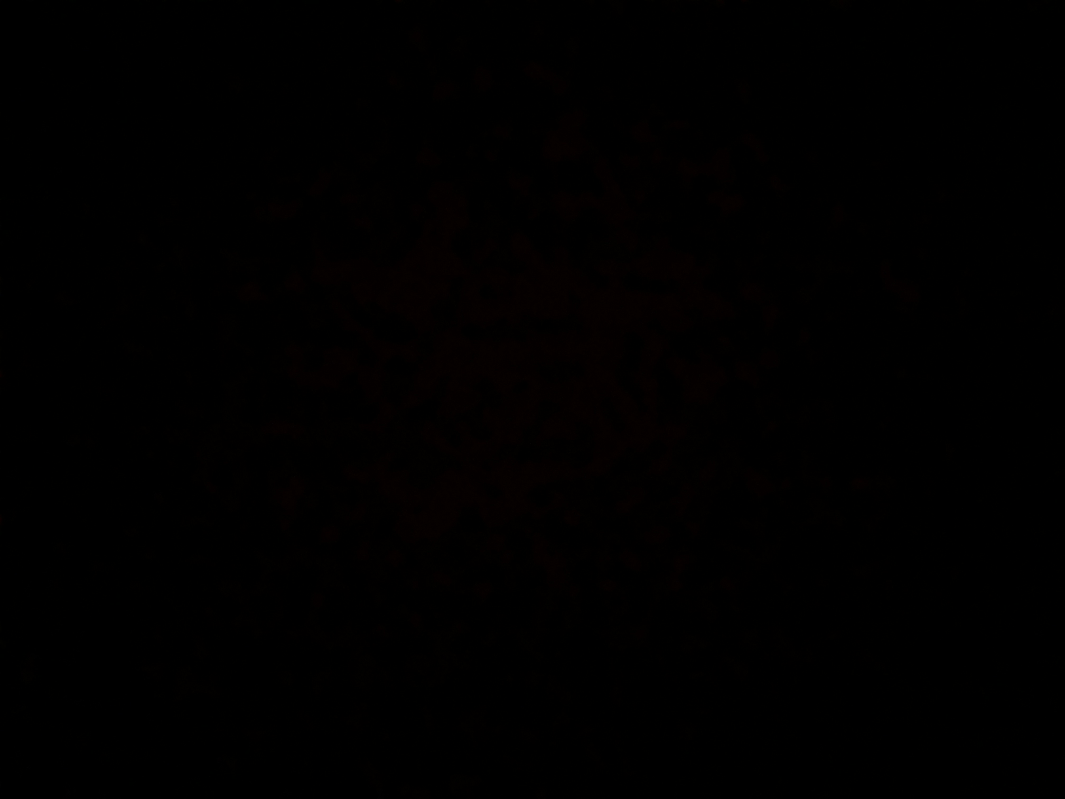 Invitation Banner