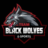 TEAM BLACK WOLVES E SPORTS