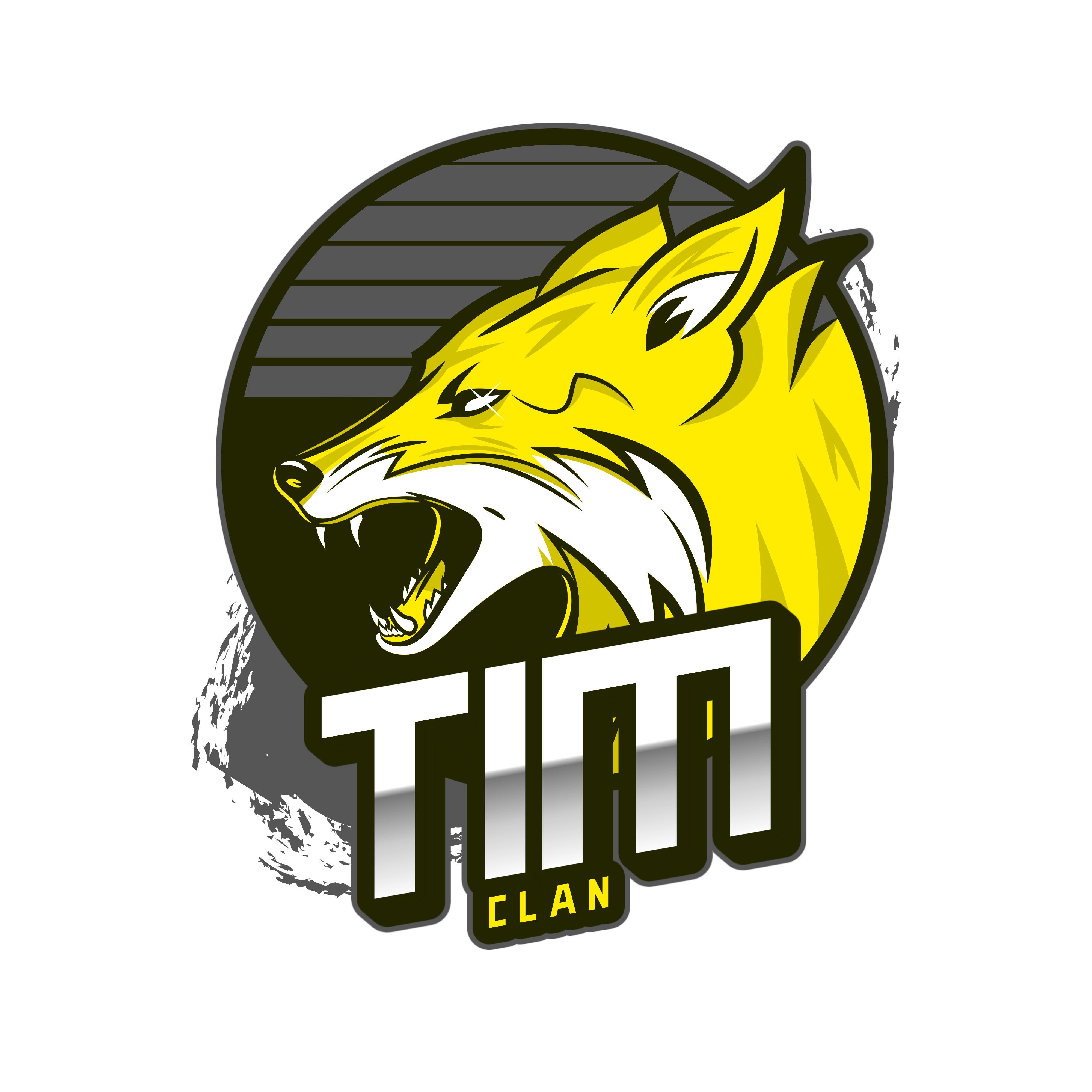T I M Esport