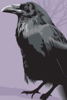 Invitation Banner