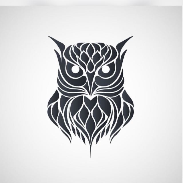 OWL ESPORT COD