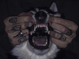 KLio