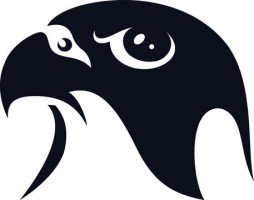 Falcons of the Arabian Peninsula