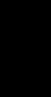 Invitation Banner