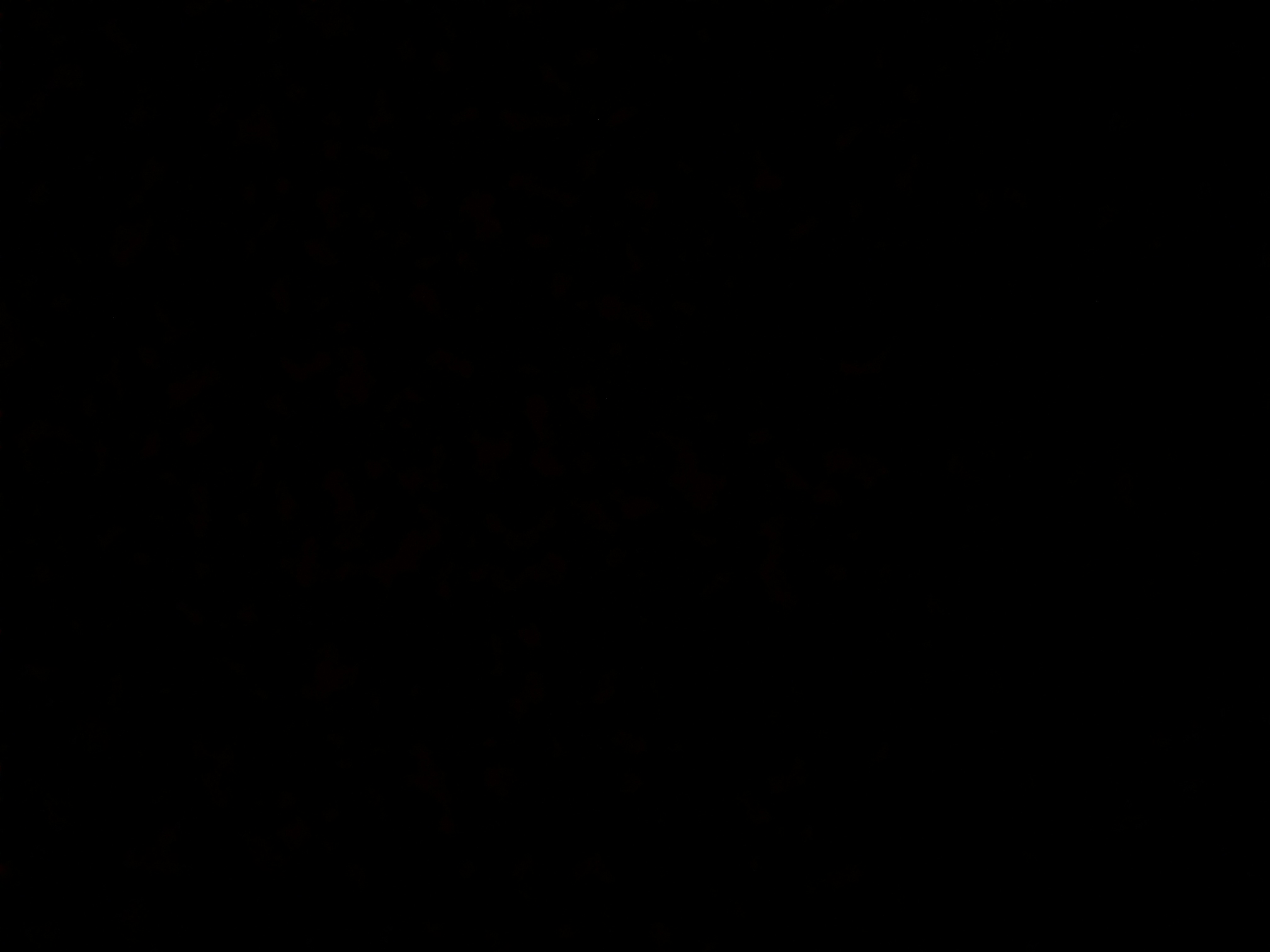Invitation Banner