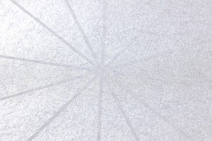 Invitation Banner