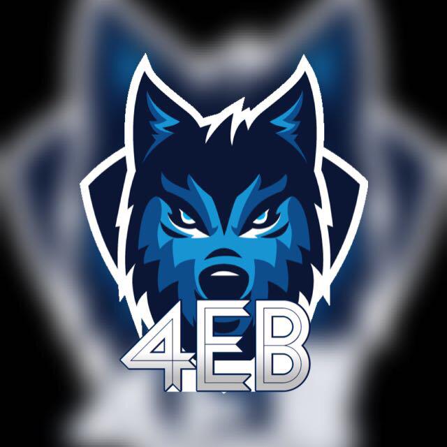 Night wolves FC