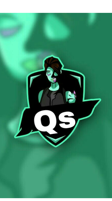 Qs esport