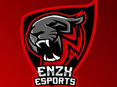 Enzx Esportsss