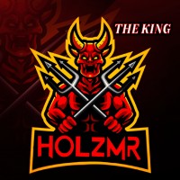 HOLZMR