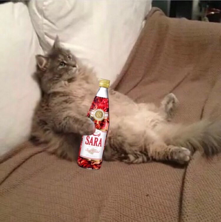 hnit and sonk