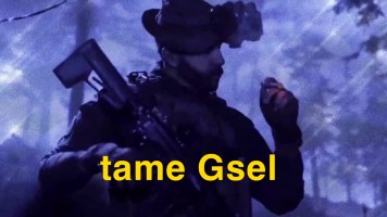 tame Gsel