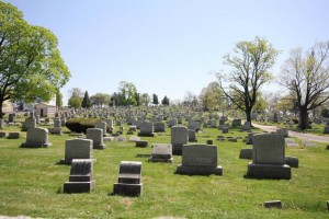 Grave Cerberus