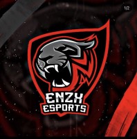 Enzxesportsss