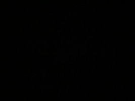 Invitation Banner
