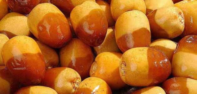 Qassim