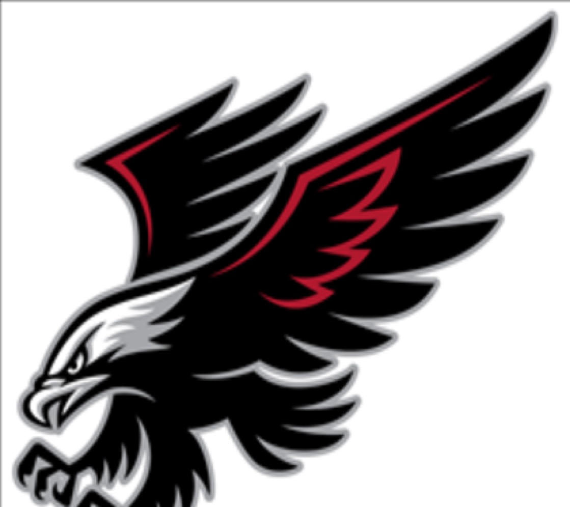The Deadly Hawks