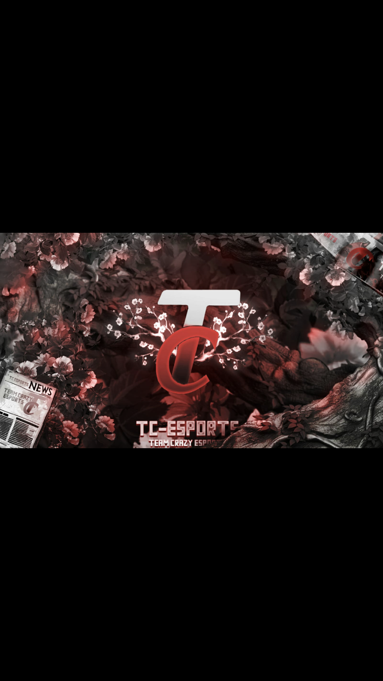 13TC esports
