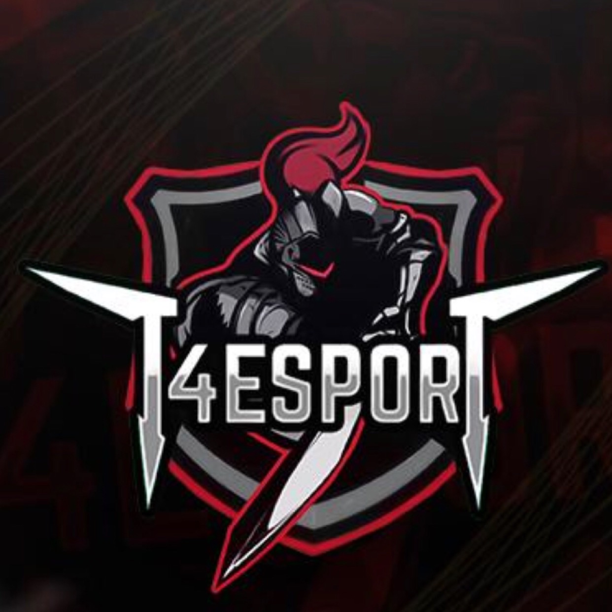 T4-esp