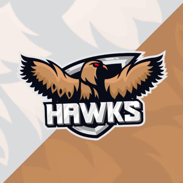 hawks E-sports