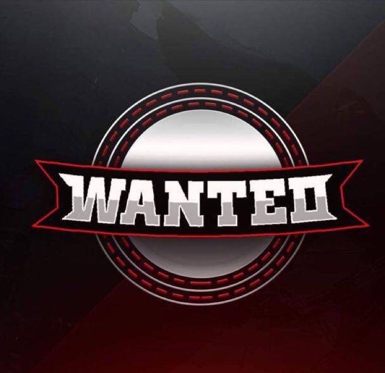 Wanted 2