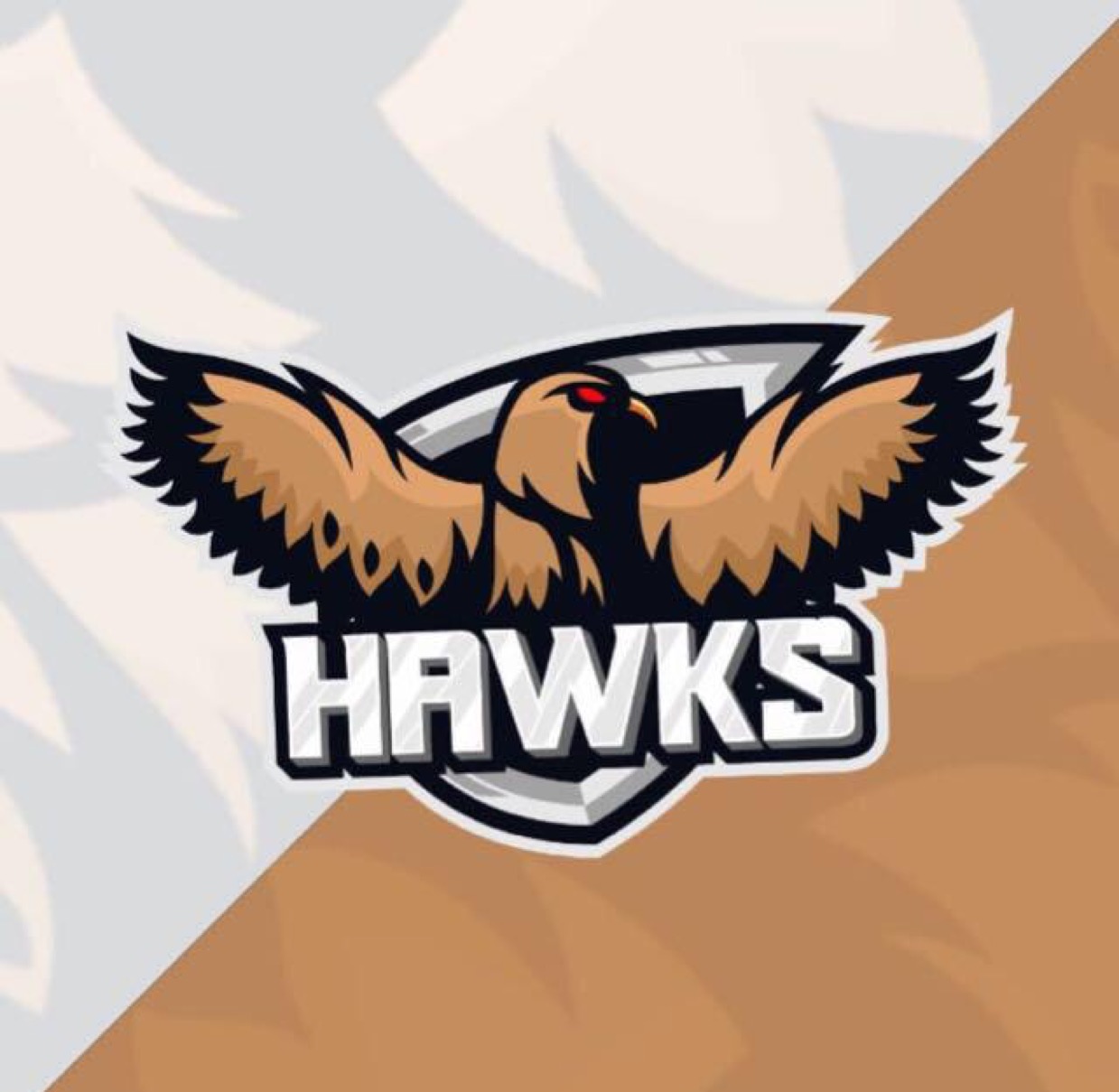 hawks esport FN1