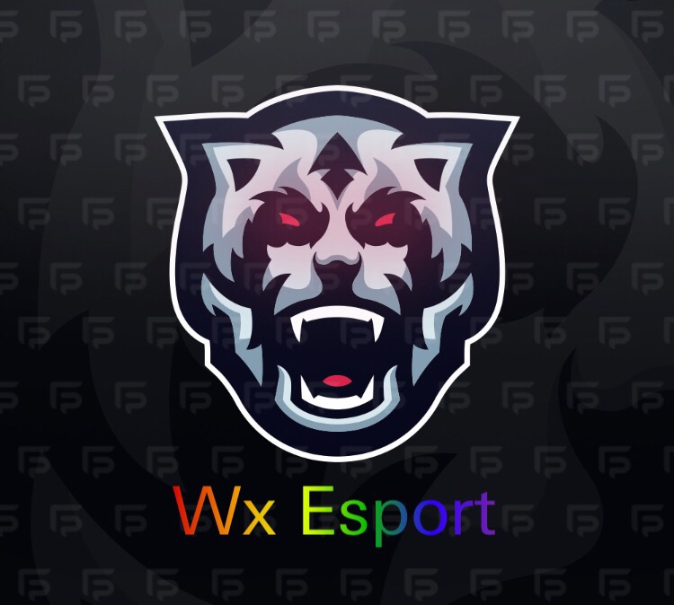 Wx1 esports