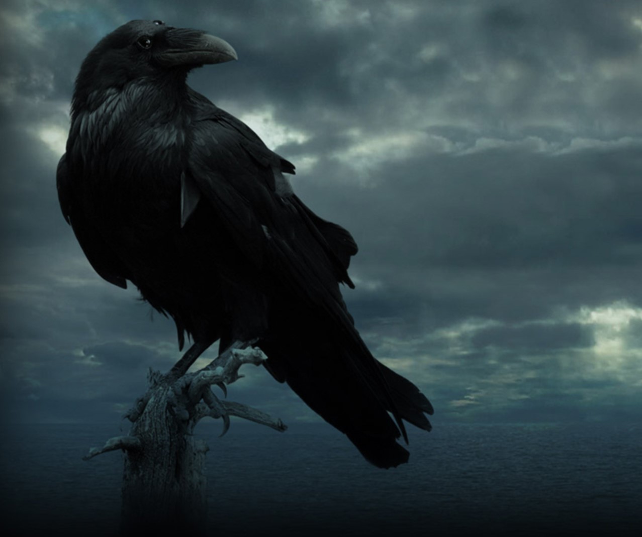 Dark RaVeNz