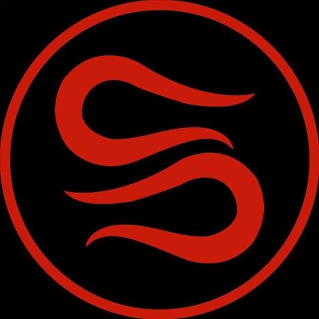 SiNS3