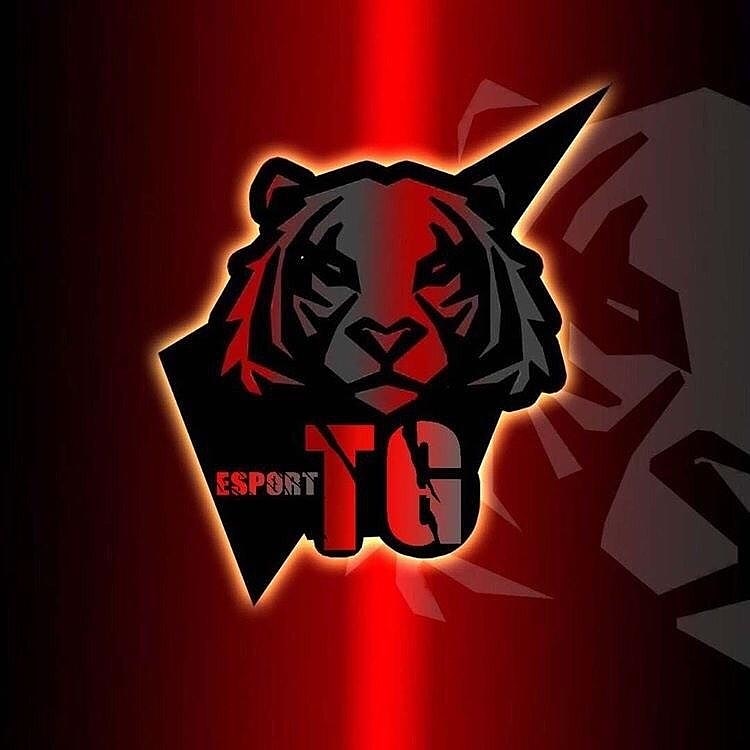 Tiger.esp.ow