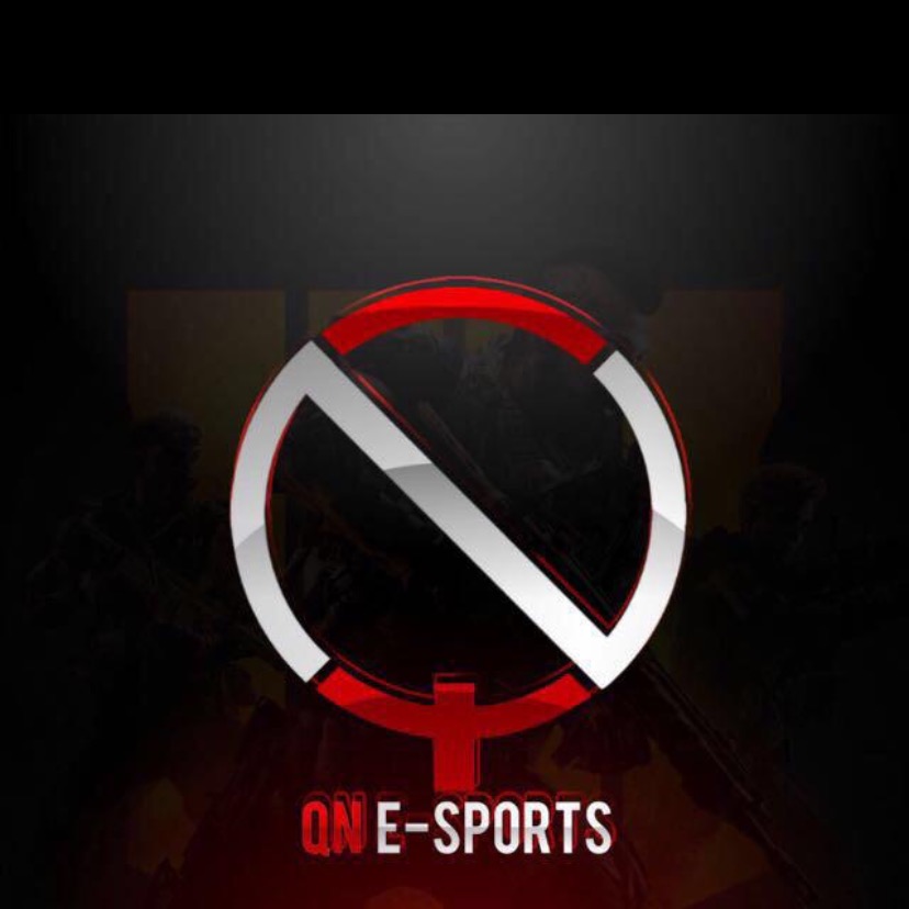 Qn8_esports