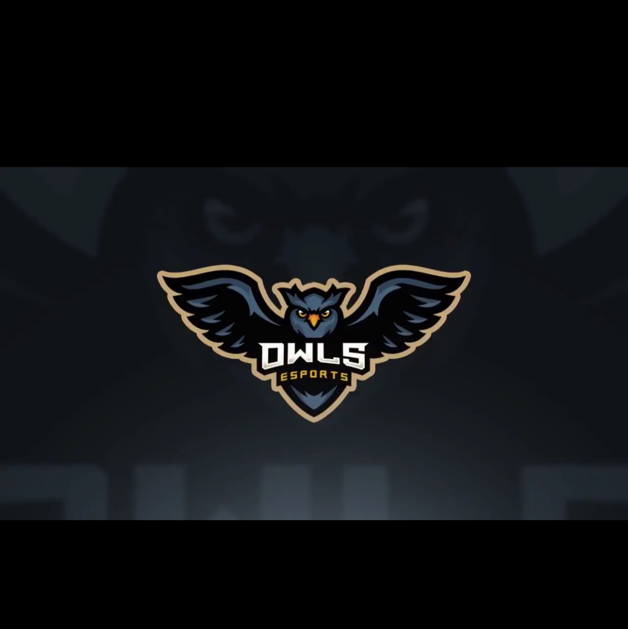 OWL1
